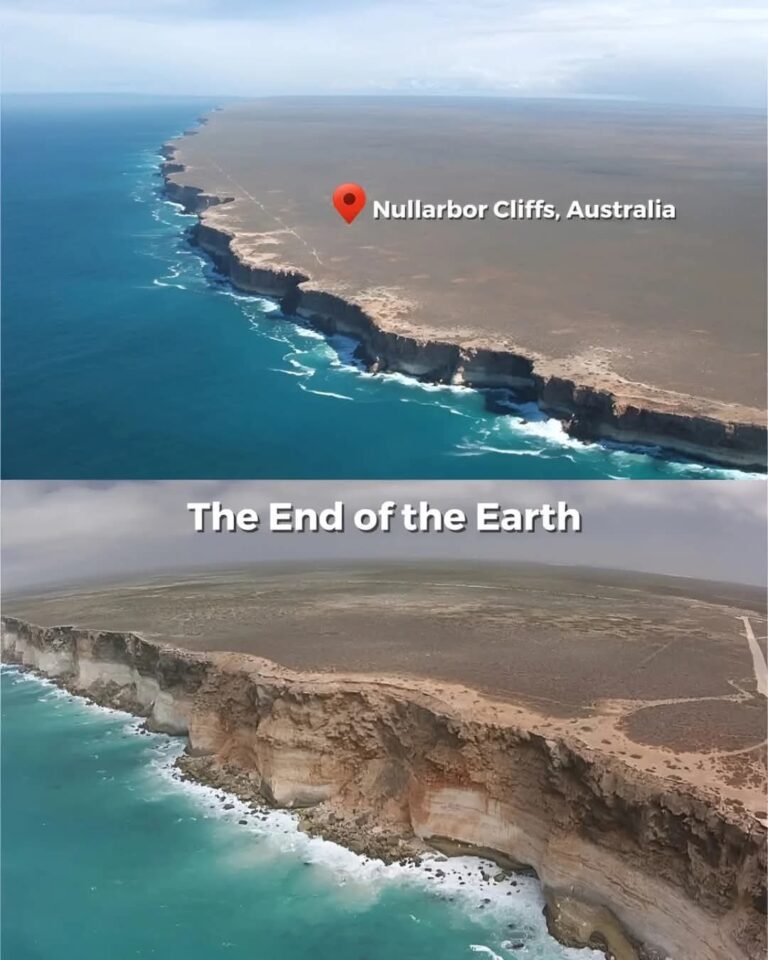 The Majestic Nullarbor Cliffs: A Natural Wonder of Australia